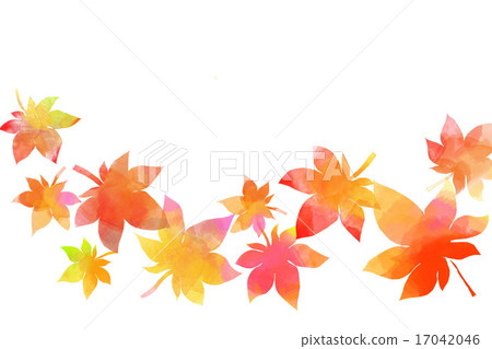 Maple leaves Maple background Maple leaves Maple background 17042046