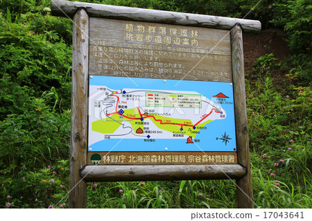 Hokkaido Rebun Island Trekking 17043641
