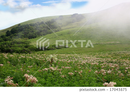 Hokkaido Rebun Island Trekking Hokkaido Rebun Island Trekking 17043875