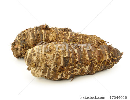 taro roots on white taro roots on white 17044026
