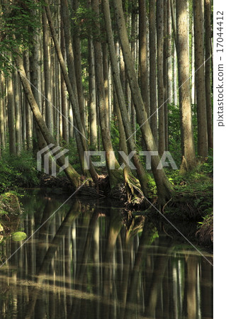 Light shining on the Ushigori River 17044412