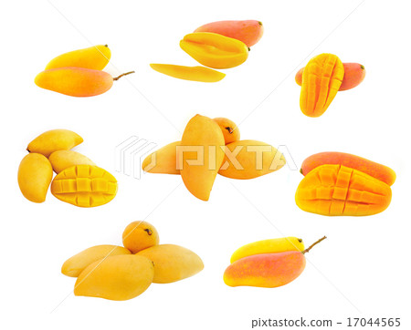 Yellow mango isolated on a white background Yellow mango isolated on a white background 17044565