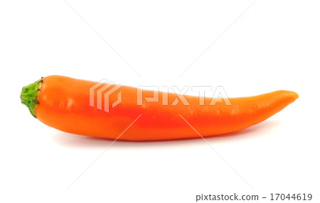 orange pepper on white background 17044619