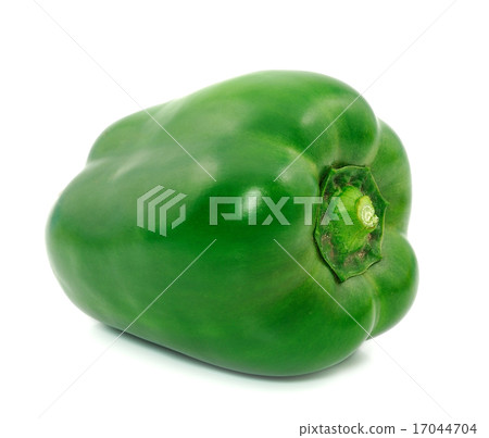 Green bell pepper or sweet pepper 17044704