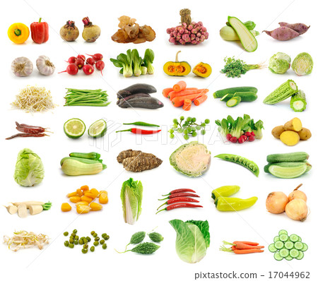Vegetable collection isolated  17044962