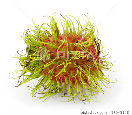 Rambutan is a fruit with sweet red shell 17045148