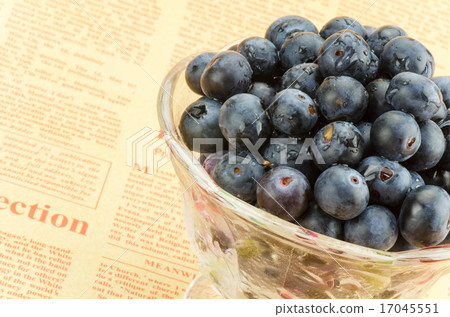 Blueberry and English letter paper 17045551