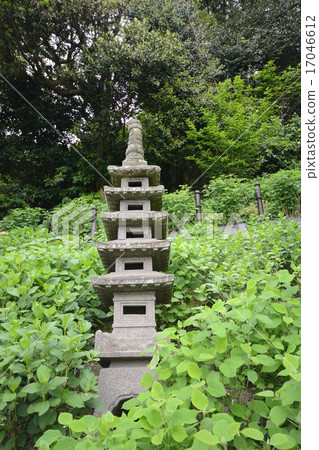 Hase Temple 17046612