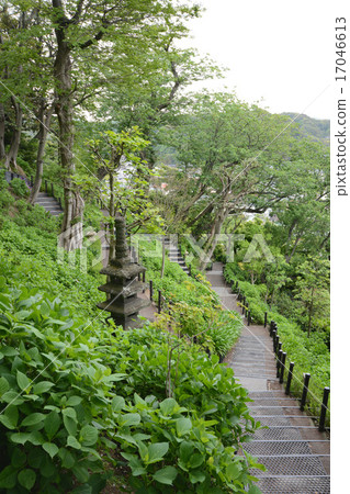 哈斯神廟 17046613