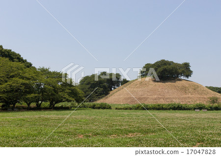 丸山山墓 丸山山墓 17047828