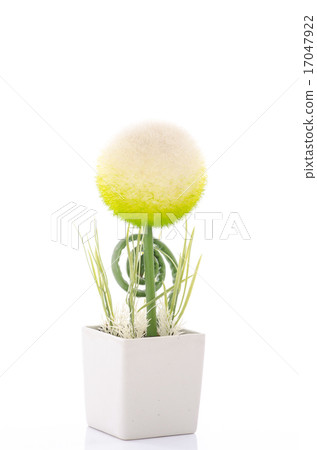 Close up of beautiful sphere shape flower Close up of beautiful sphere shape flower 17047922
