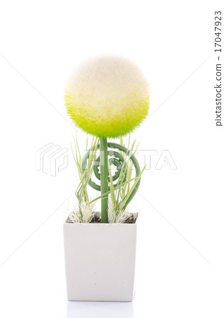 Close up of beautiful sphere shape flower Close up of beautiful sphere shape flower 17047923