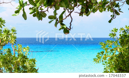 Beautiful blue sea at Koh Miang in Mu Koh Similan 17048337