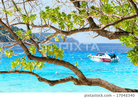 Beautiful blue sea at Koh Miang in Mu Koh Similan 17048340