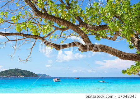 Beautiful blue sea at Koh Miang in Mu Koh Similan 17048343