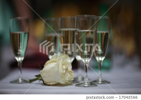 flower rose and glasses with wine 17048566