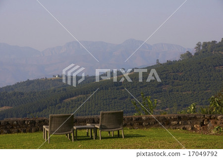 Rural Garden 17049792