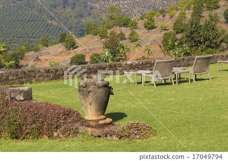 Country Garden 17049794