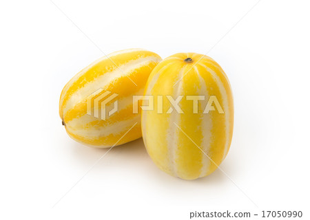 一隻烏龜 一隻烏龜 17050990