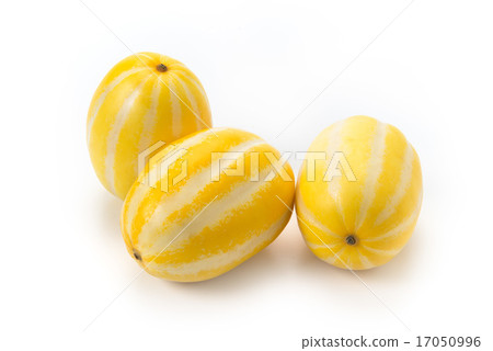 一隻烏龜 一隻烏龜 17050996