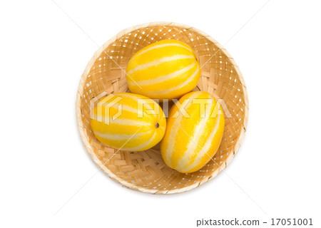 一隻烏龜 一隻烏龜 17051001