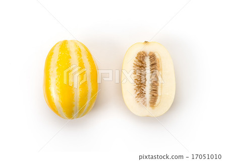 A turtle A turtle 17051010