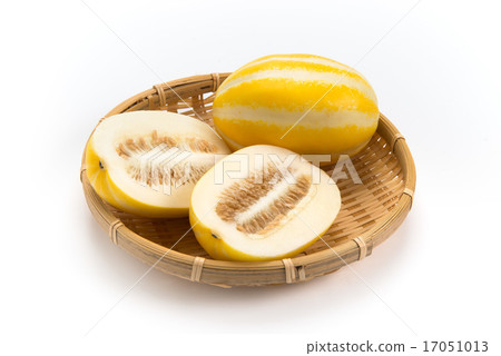 A turtle A turtle 17051013