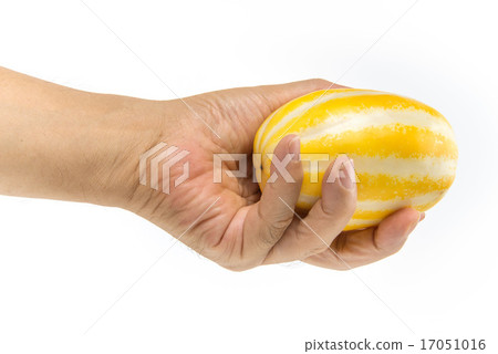 一隻烏龜 一隻烏龜 17051016