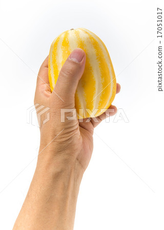 一隻烏龜 一隻烏龜 17051017