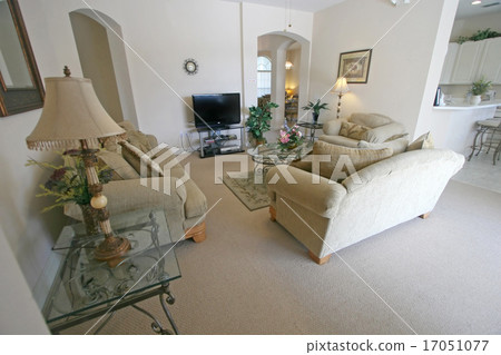 Living Room Living Room 17051077
