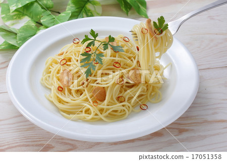 裴Peronchino 17051358