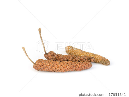 Long Pepper  . Long Pepper  . 17051841