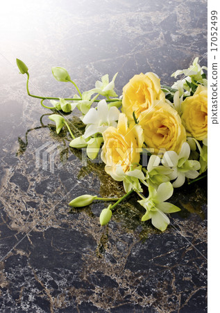 Bouquet Bouquet 17052499