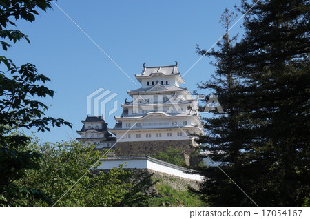 森林和姬路城堡 17054167