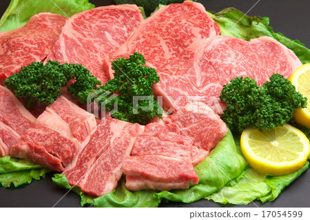 日本炒牛肉日本牛肉日本料理 日本炒牛肉日本牛肉日本料理 17054599
