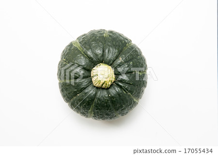 南瓜 南瓜 17055434