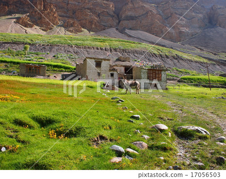Photowaru's private house (Ladakh) Photowaru's private house (Ladakh) 17056503