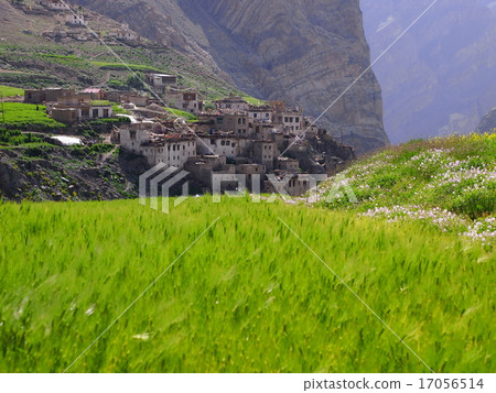 Photoxal村(拉達克) Photoxal村(拉達克) 17056514