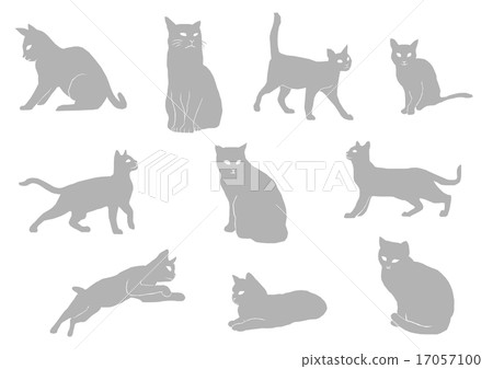 Feline Silhouette Gray Feline Silhouette Gray 17057100