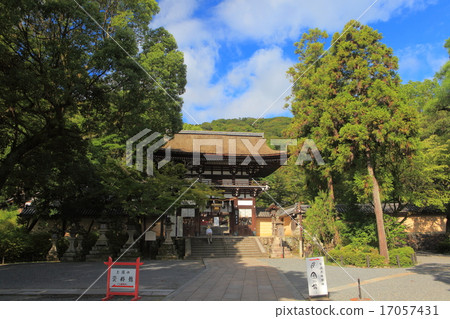 Matsuo Taisha Shrine Matsuo Taisha Shrine 17057431