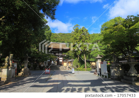Matsuo Taisha Shrine Matsuo Taisha Shrine 17057433