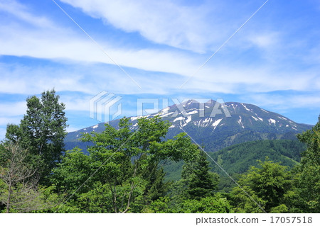 Wild Bird Road 2015 Summer 17057518
