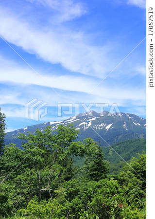 Wild Bird Road 2015 Summer 17057519