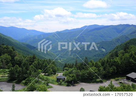 Wild Bird Road 2015 Summer 17057520