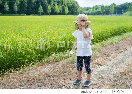 稻田和兒童 17057651