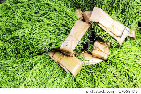 Acacia pennata or cha-om with banana bandle 17058473