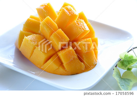 mango  17058596