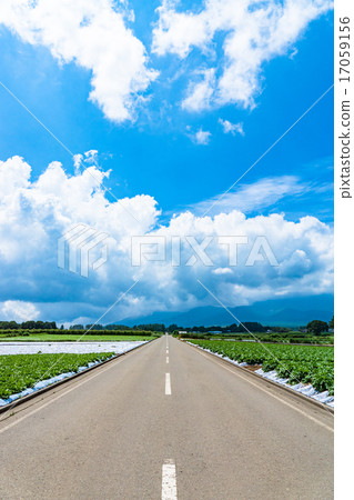 夏天的天空和地球 17059156