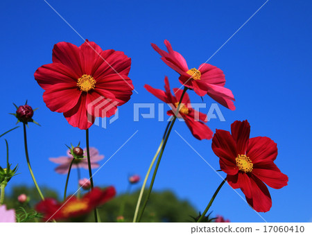 藍天 藍天 17060410