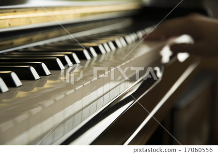 Piano Piano 17060556